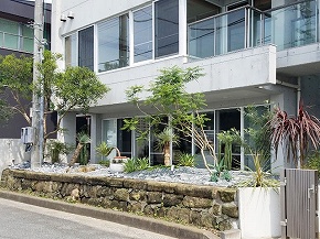 �J���t�H���j�A�X�^�C���K�[�f���{�H��F4