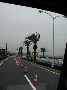 �����{�H��F3