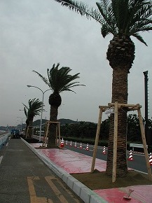 �����i�f�R���[�V�����j�{�H��F3_1