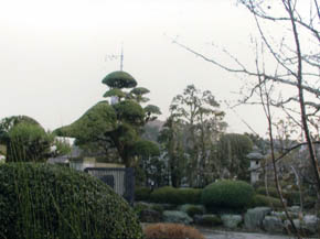 �a���뉀�{�H��F12