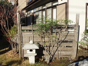 �a���뉀�{�H��F19_1