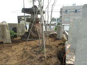 �a���뉀�{�H��F27_1