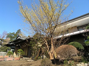 �a���뉀�{�H��F5