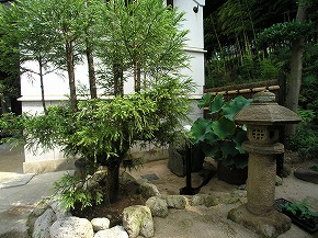 �a���뉀�{�H��F6