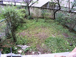 �V�a���뉀�{�H��F30