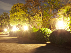 �i�C�g�K�[�f���{�H��F1